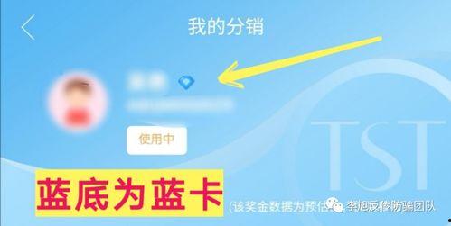蓝卡最新爆料,揭秘娱乐圈最新动态与幕后故事