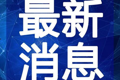 鸟叔最新邻居爆料视频,揭秘明星邻里的真实生活片段