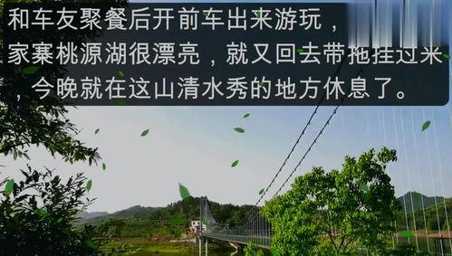 桃源最新爆料,最新爆料揭示神秘仙境的惊人真相