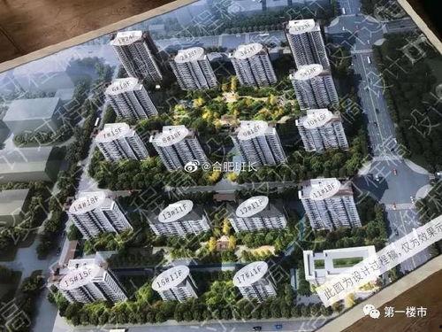 肥西楼市最新爆料,揭秘最新爆料背后的市场真相