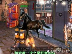 明日周年版本爆料最新,新版本爆料，惊喜连连，共赴未来之旅