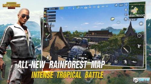 pubg体验服最新爆料,Pubg体验服新爆料，全新内容即将上线！
