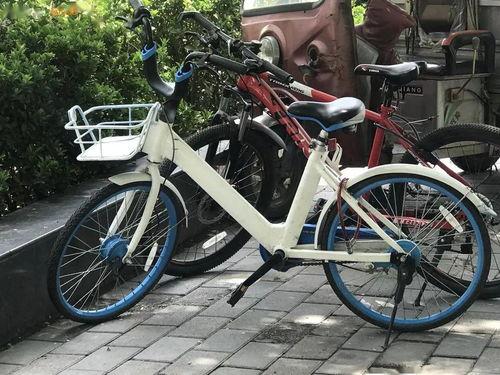 进口自行车爆料案例最新,最新爆料案例深度剖析