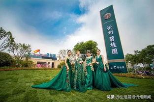 忻州碧桂园爆料最新消息,揭秘项目进展与未来规划