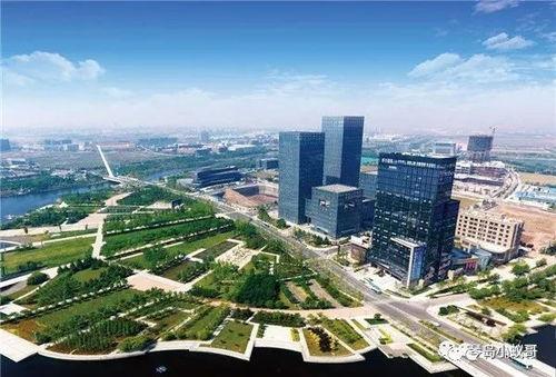 最新青岛高新区爆料,产业升级与科技创新双轮驱动发展